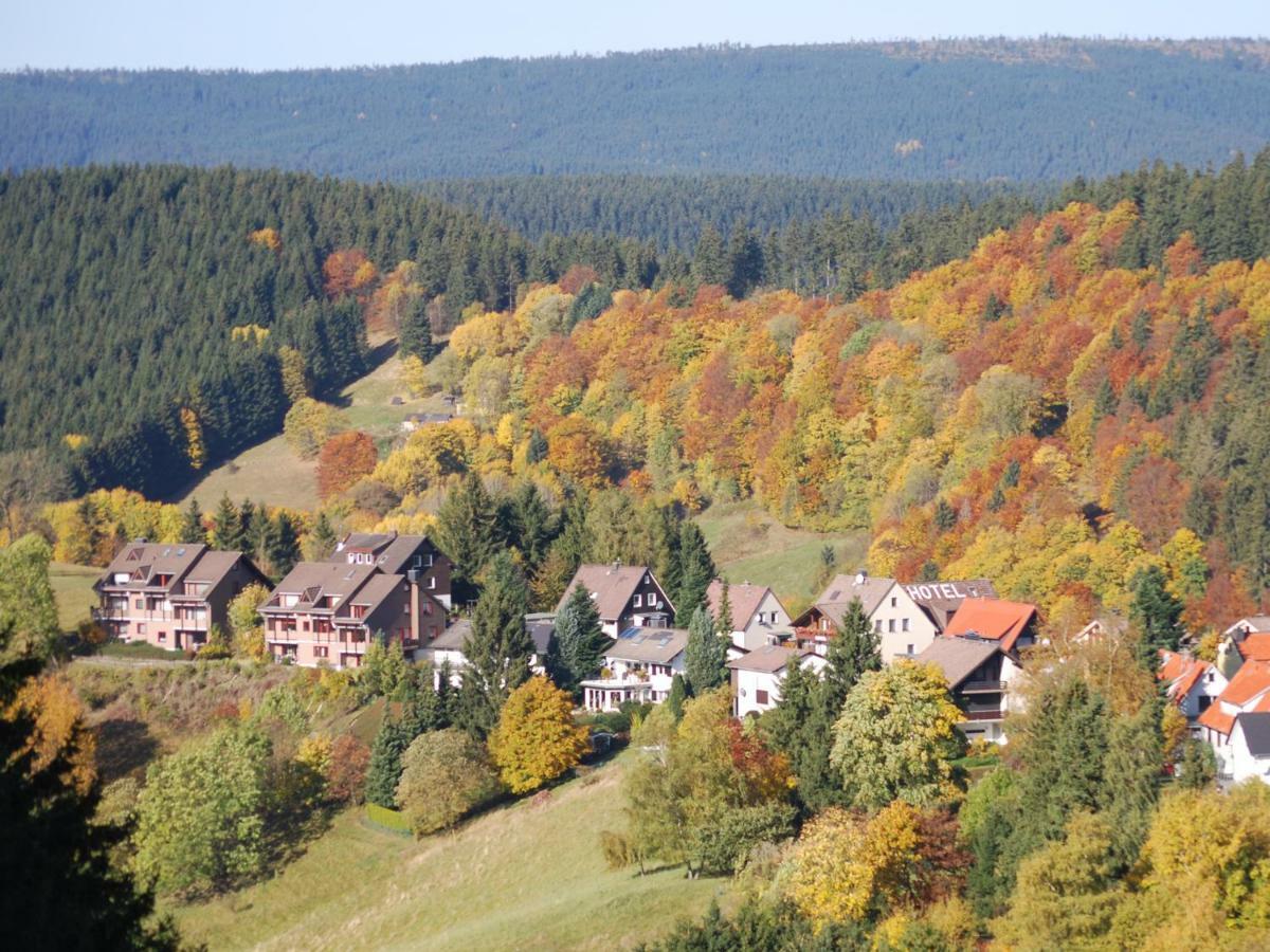 Ferienwohnung Hexe Mit Komfort **** Sankt Andreasberg Zewnętrze zdjęcie